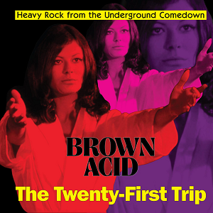 Brown Acid Trip 21