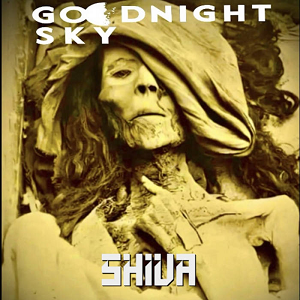Goodnight Sky Shiva