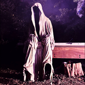 Legs On Wheels Peekaboo