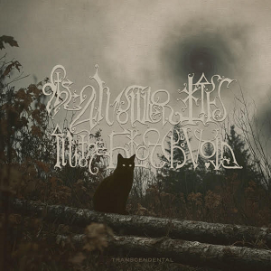 The Answer Lies In The Black Void Transcendental