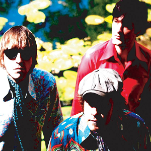 Vibravoid Band