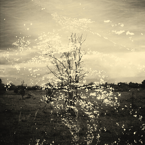 Moon Mother It Comes Premiere