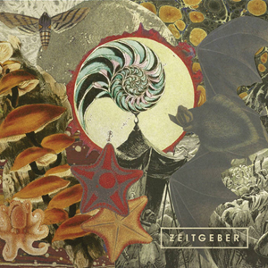 Zeitgeber Fellow Prisoners