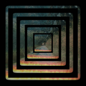 neonghoste Honeytrip