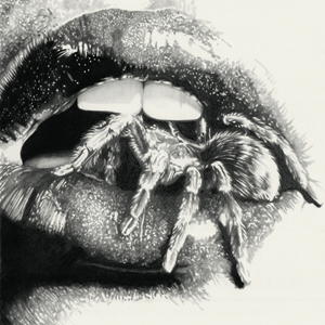 Masheen Spider In