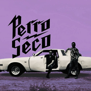 Perro Seco Despertando