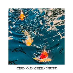 Camino Sound Everything