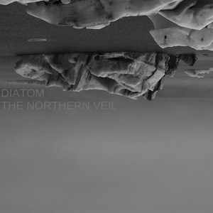 Diatom Veil