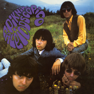 Los Negativos Piknik Caleidoscopico