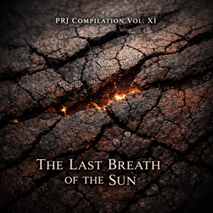 PRJ Compilation Vol. XI