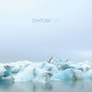 Diatom Low Light