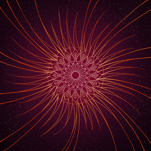 Echoes And Signals Solar