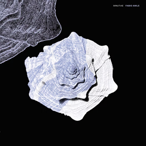 Fabio Anile Minutiae