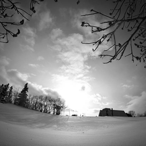 Tomb Shadow Butch Diaries