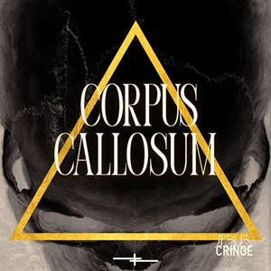 Jesus Cringe Callosus