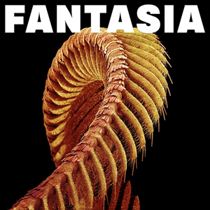 SLIFT Fasntasia