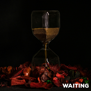 Bastion Rose Waiting
