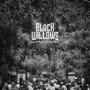 Black Willows Palp 2025