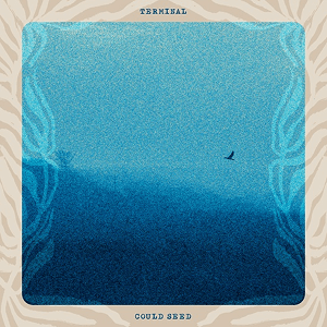 Could Seed Terminal