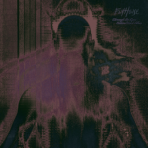 Flyhouse Through The Eyes EP