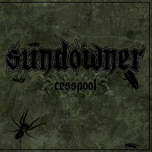 Sundowner Cesspool