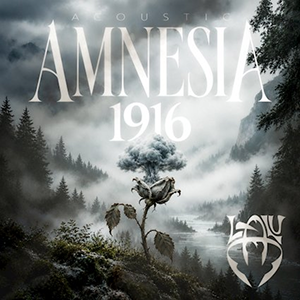 Lalu Amnesia Acoustic